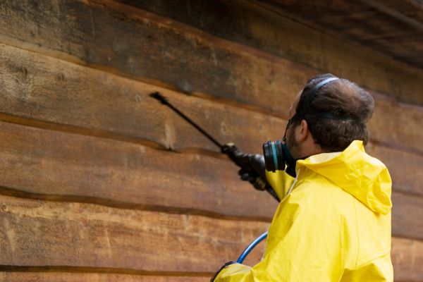 Cedar Siding Washing in Lake Charles